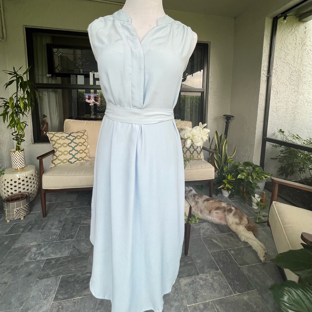 Cabi Dress